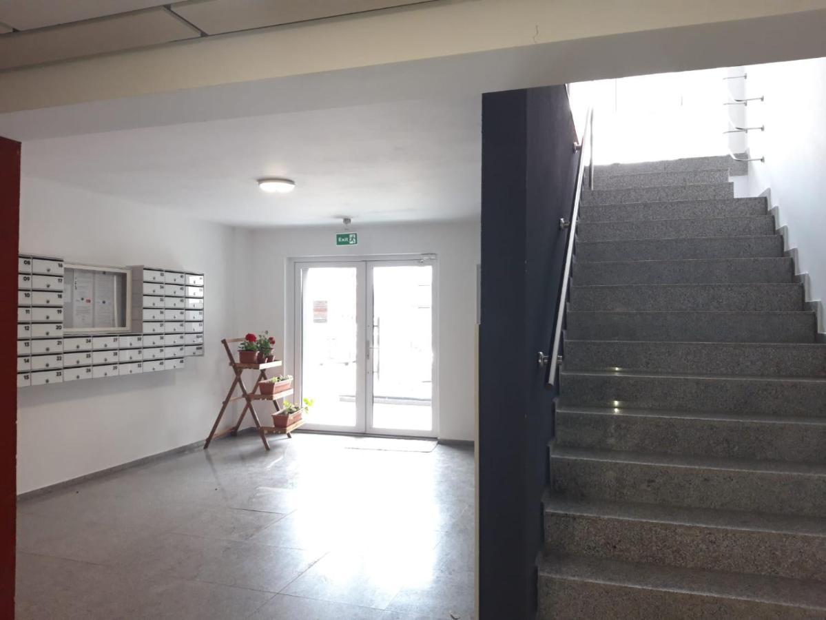 Elissa Apartment Brasov Bagian luar foto